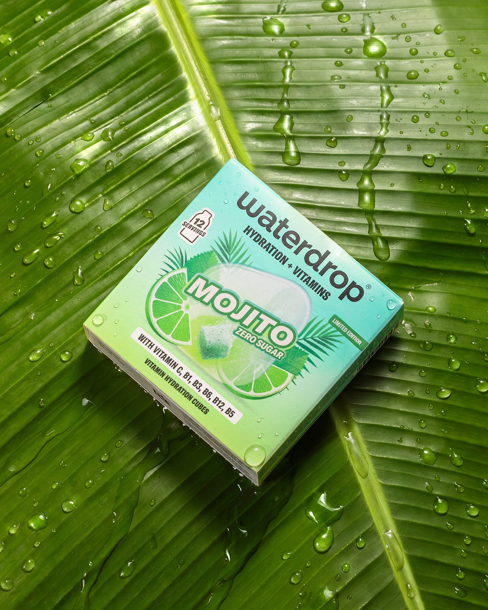 MOJITO - Image 4